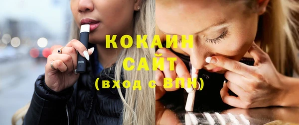 молекула духа Елизово