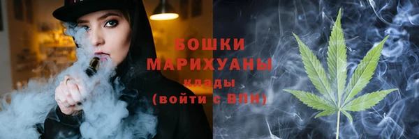 молекула духа Елизово