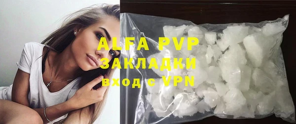 apvp Ельня