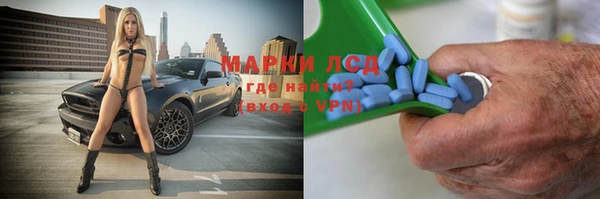 apvp Ельня