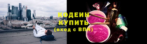 молекула духа Елизово
