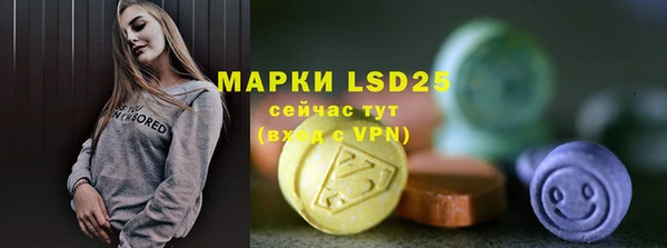 apvp Ельня