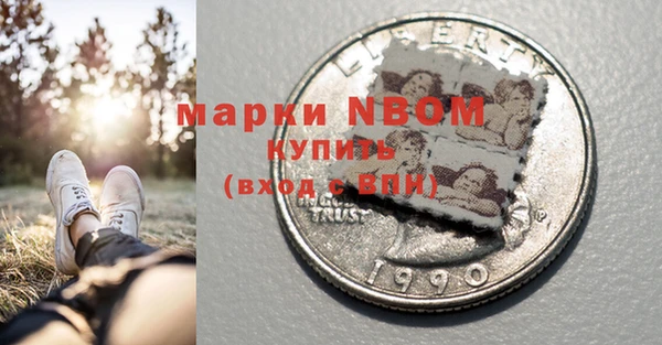 молекула духа Елизово