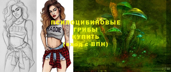 молекула духа Елизово